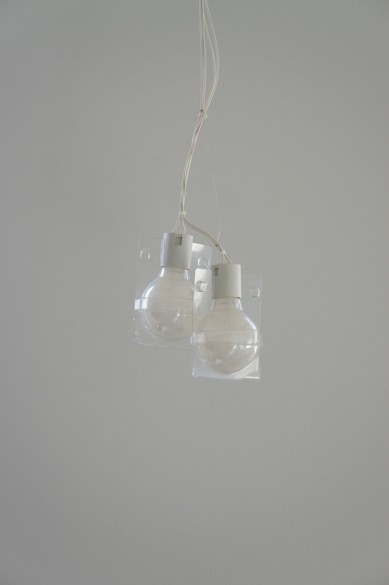 Companions, For A Time