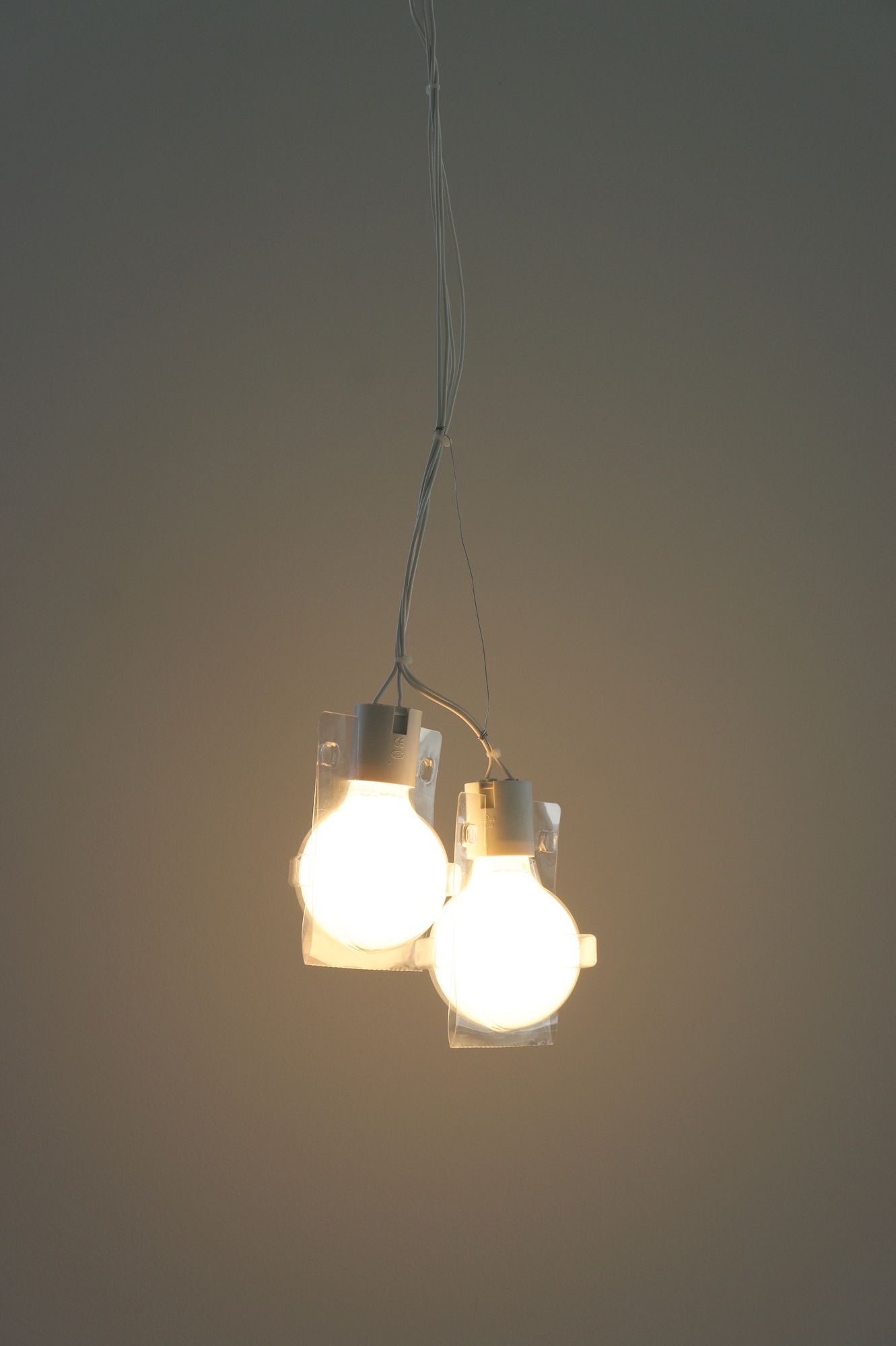 Companions, For A Time