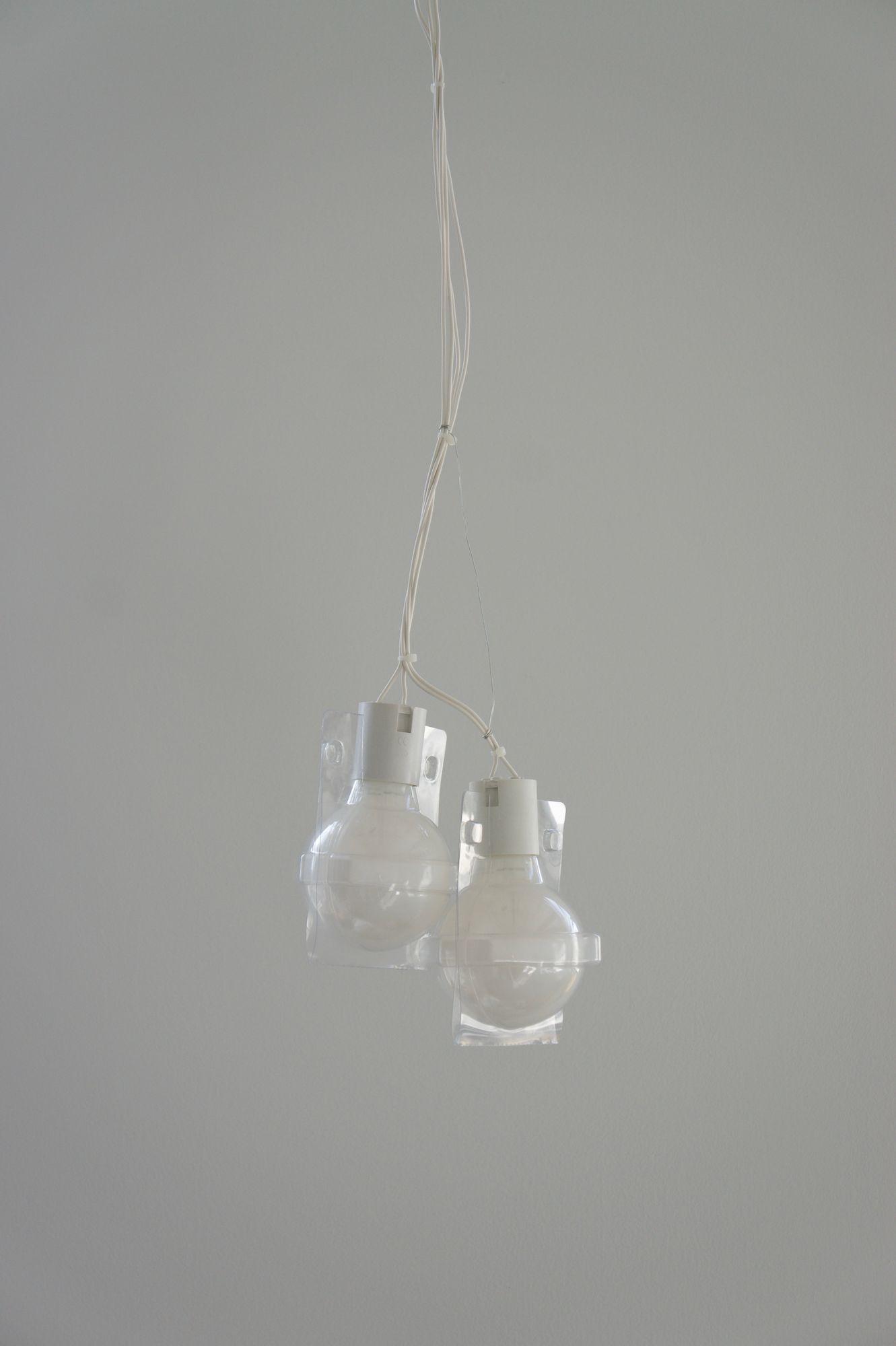 Companions, For A Time