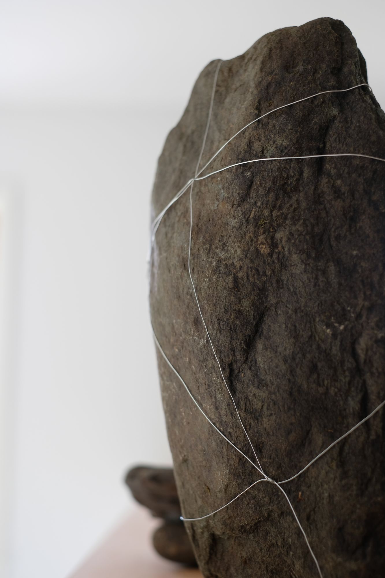 Dying Lights (A Pair, Grounded)