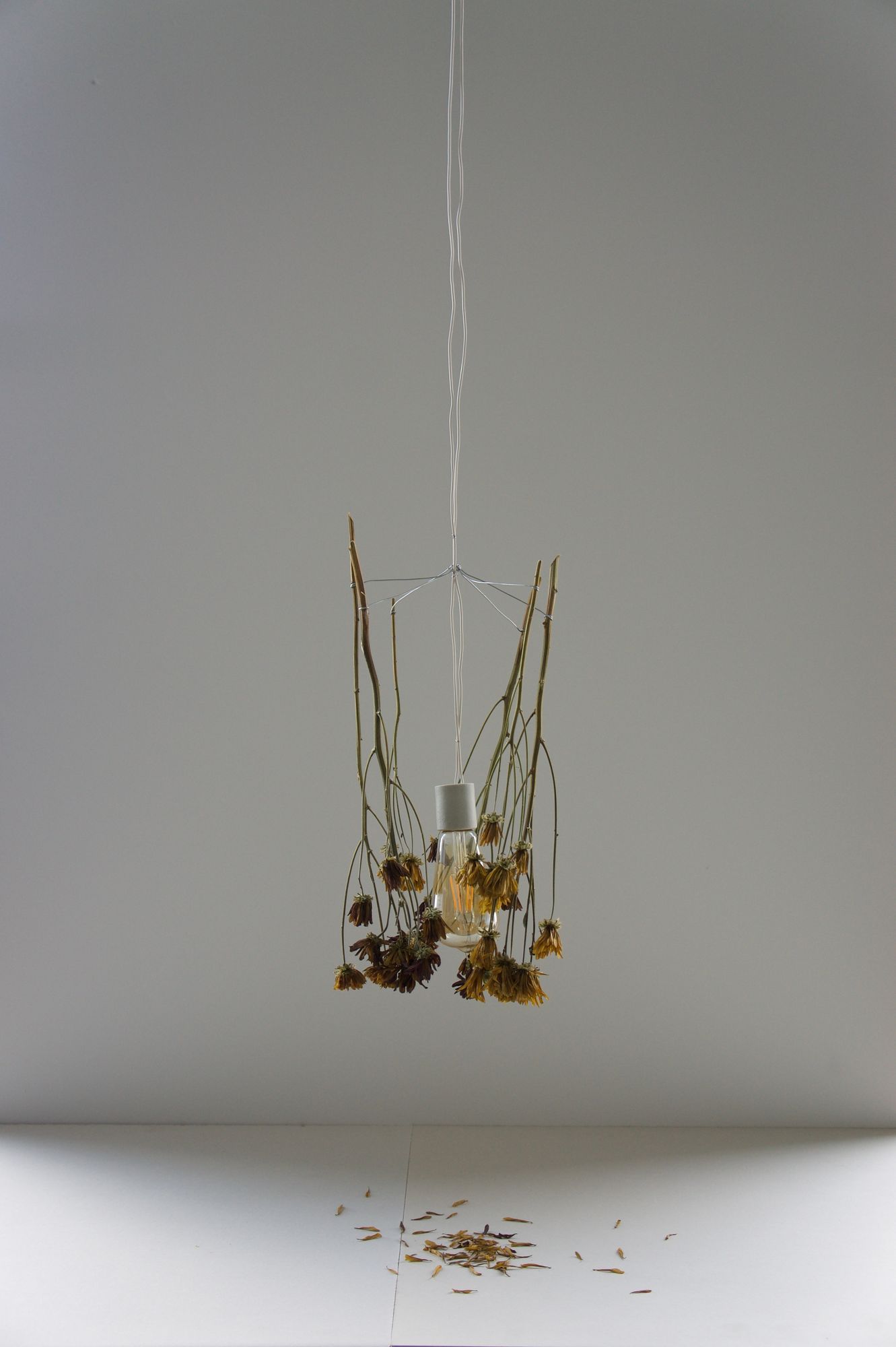 Between What We Once Knew And What We Must Accept