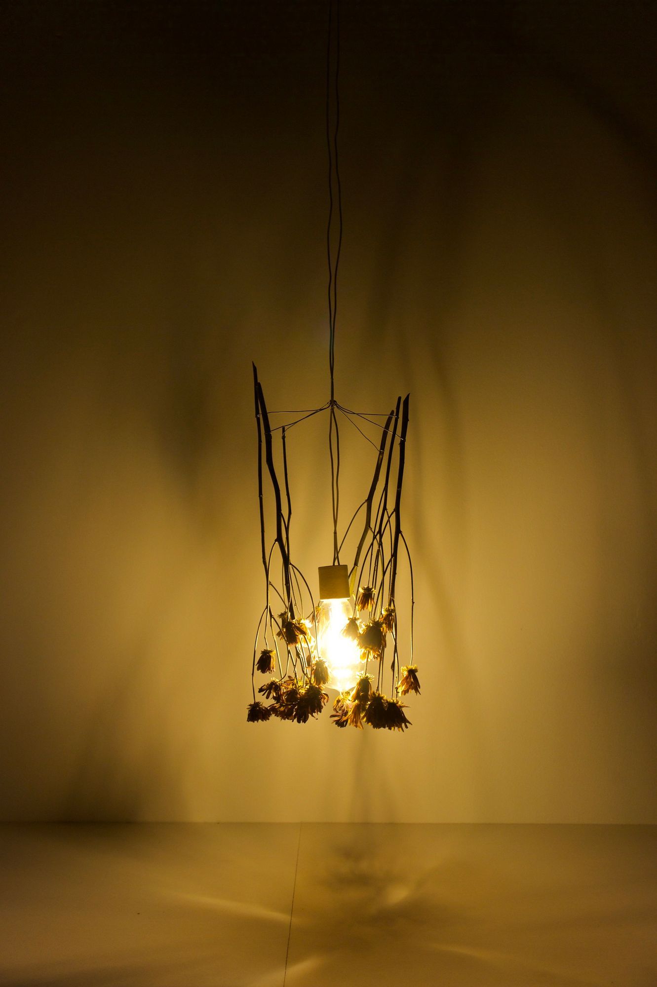 Between What We Once Knew And What We Must Accept