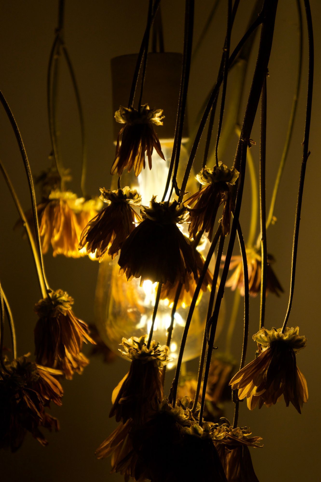 Between What We Once Knew And What We Must Accept